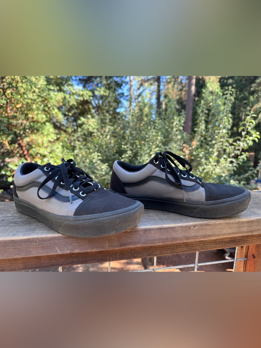 Vans Black and Gray Low-Top Skate Sneakers